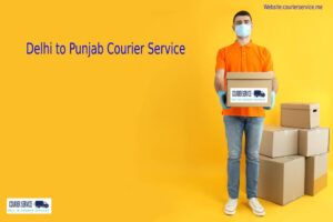 Dwarka To Punjab Courier Services